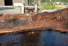 Oregon Black Walnut Slab 080124-07