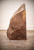 Oregon Black Walnut Board B9229 SI
