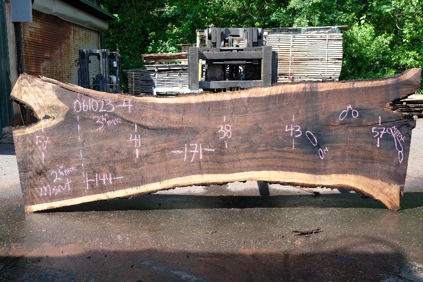 Oregon Black Walnut Slab 061023-04