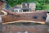 Oregon Black Walnut Slab 061023-05
