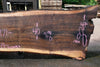 Oregon Black Walnut Slab 061023-05