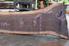 Oregon Black Walnut Slab 061023-07