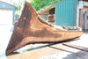 Oregon Black Walnut Slab 061023-08