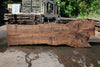 Bastogne Walnut Slab 061623-01