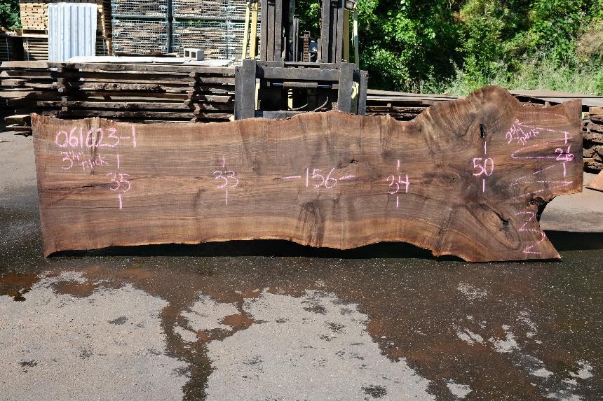 Bastogne Walnut Slab 061623-01