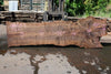 Bastogne Walnut Slab 061623-01