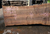 Bastogne Walnut Slab 061623-01