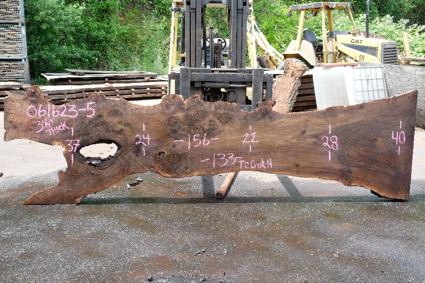 Bastogne Walnut Slab 061623-05