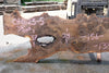 Bastogne Walnut Slab 061623-05