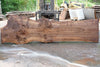 Bastogne Walnut Slab 061623-07