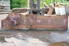 Bastogne Walnut Slab 061623-08