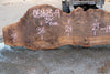 Bastogne Walnut Slab 061623-09