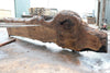 Bastogne Walnut Slab 061623-09