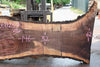 Oregon Black Walnut Slab 061723-07