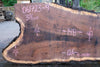Oregon Black Walnut Slab 061723-09