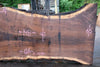 Oregon Black Walnut Slab 061723-09