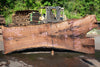 Oregon Black Walnut Slab 062323-01