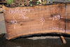 Oregon Black Walnut Slab 062323-01