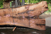 Oregon Black Walnut Slab 062323-01