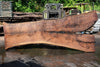 Oregon Black Walnut Slab 062323-02