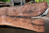 Oregon Black Walnut Slab 062323-02
