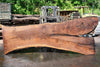 Oregon Black Walnut Slab 062323-03