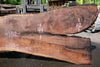 Oregon Black Walnut Slab 062323-03