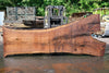 Oregon Black Walnut Slab 062323-04