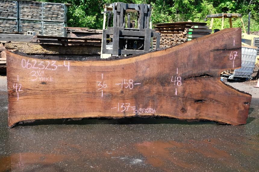 Oregon Black Walnut Slab 062323-04
