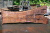 Oregon Black Walnut Slab 062323-04