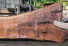 Oregon Black Walnut Slab 062323-04