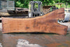 Oregon Black Walnut Slab 062323-05