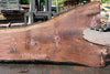 Oregon Black Walnut Slab 062323-05