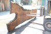 Oregon Black Walnut Slab 062323-05