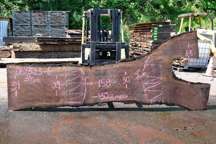 Oregon Black Walnut Slab 062323-06