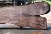 Oregon Black Walnut Slab 062323-07