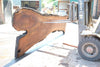 Oregon Black Walnut Slab 062323-07
