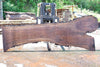 Oregon Black Walnut Slab 062323-08