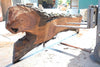 Oregon Black Walnut Slab 062323-08