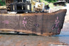 Oregon Black Walnut Slab 062323-09