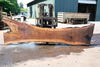 Oregon Black Walnut Slab 062323-10