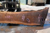 Oregon Black Walnut Slab 062323-10