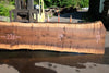 Oregon Black Walnut Slab 062423-01