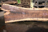 Oregon Black Walnut Slab 062423-02