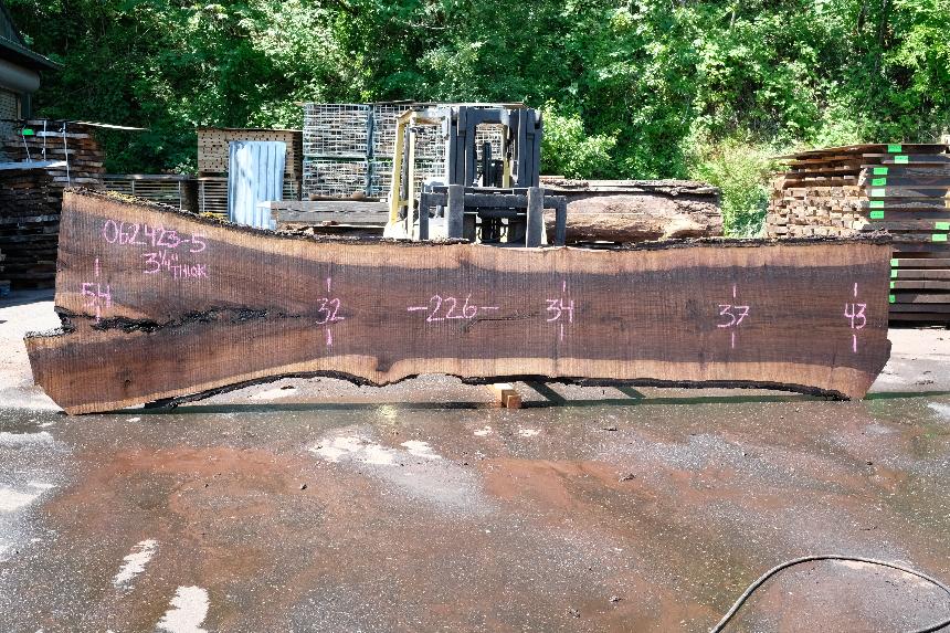 Oregon Black Walnut Slab 062423-05