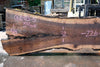 Oregon Black Walnut Slab 062423-05