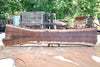 Oregon Black Walnut Slab 062423-06