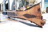 Oregon Black Walnut Slab 062423-08