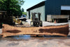 Oregon Black Walnut Slab 062423-09