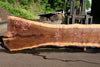 Oregon Black Walnut Slab 062423-07